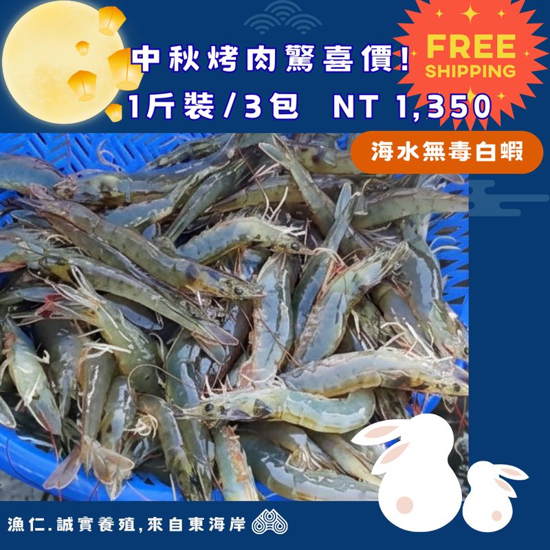 （免運）【漁仁】中秋烤肉｜海水無毒白蝦 (1斤裝×3包)