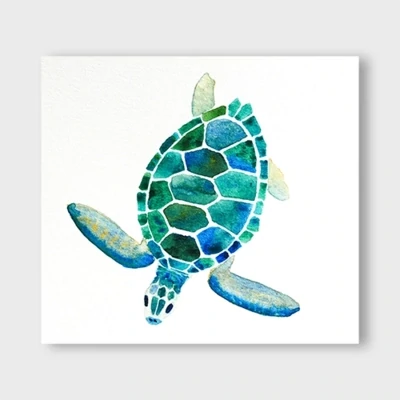 Turquoise Turtle