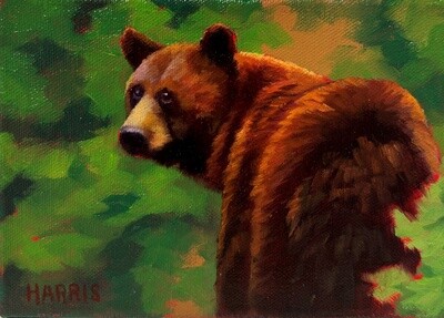 Brown Bear What do you see?