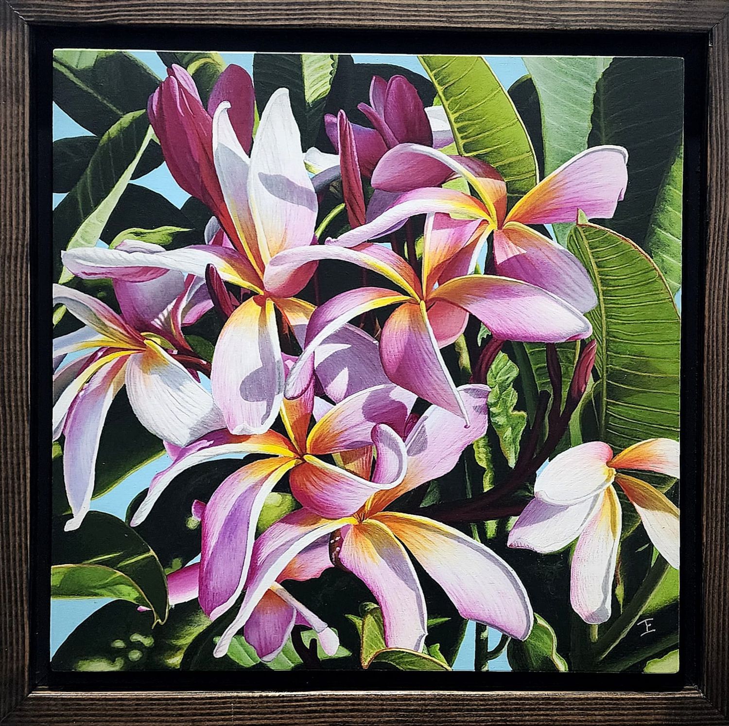 Plumeria Print Framed