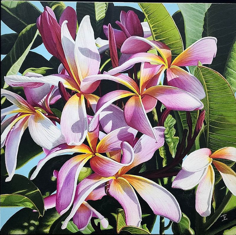 Plumeria Print