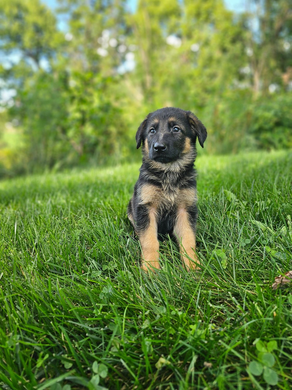 Max Max
