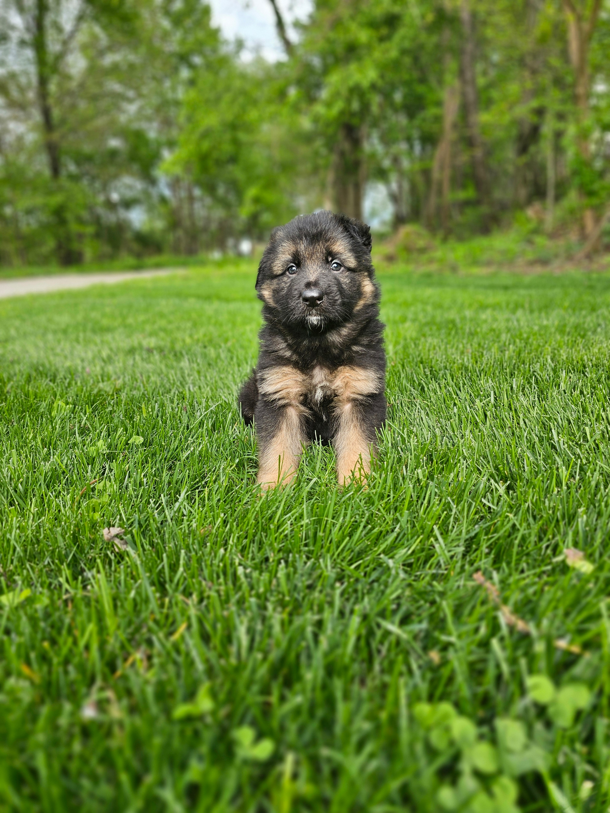 Max