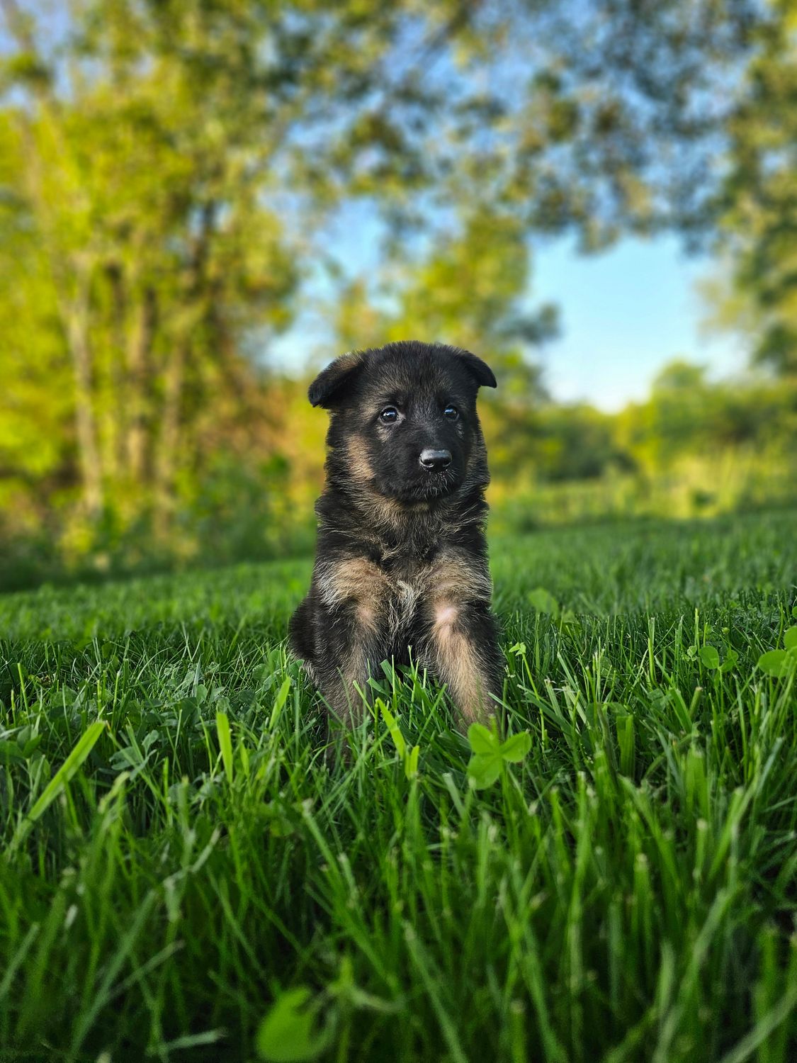 Jack