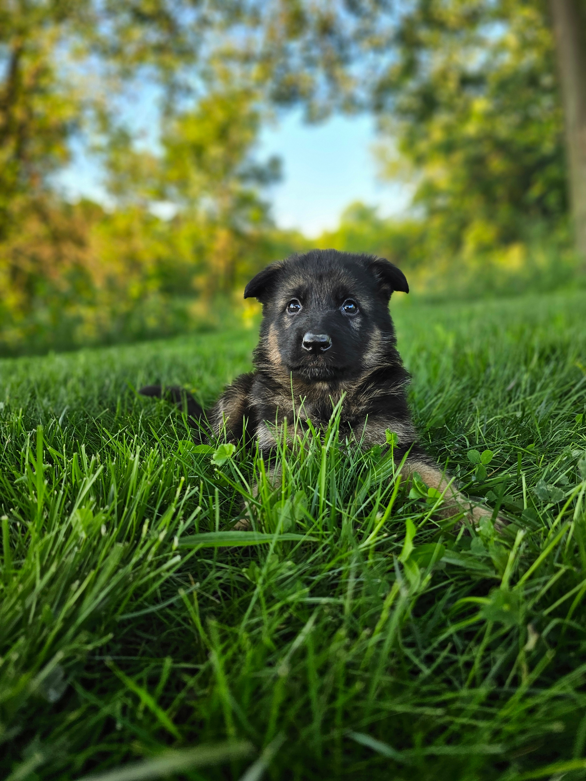 Jack