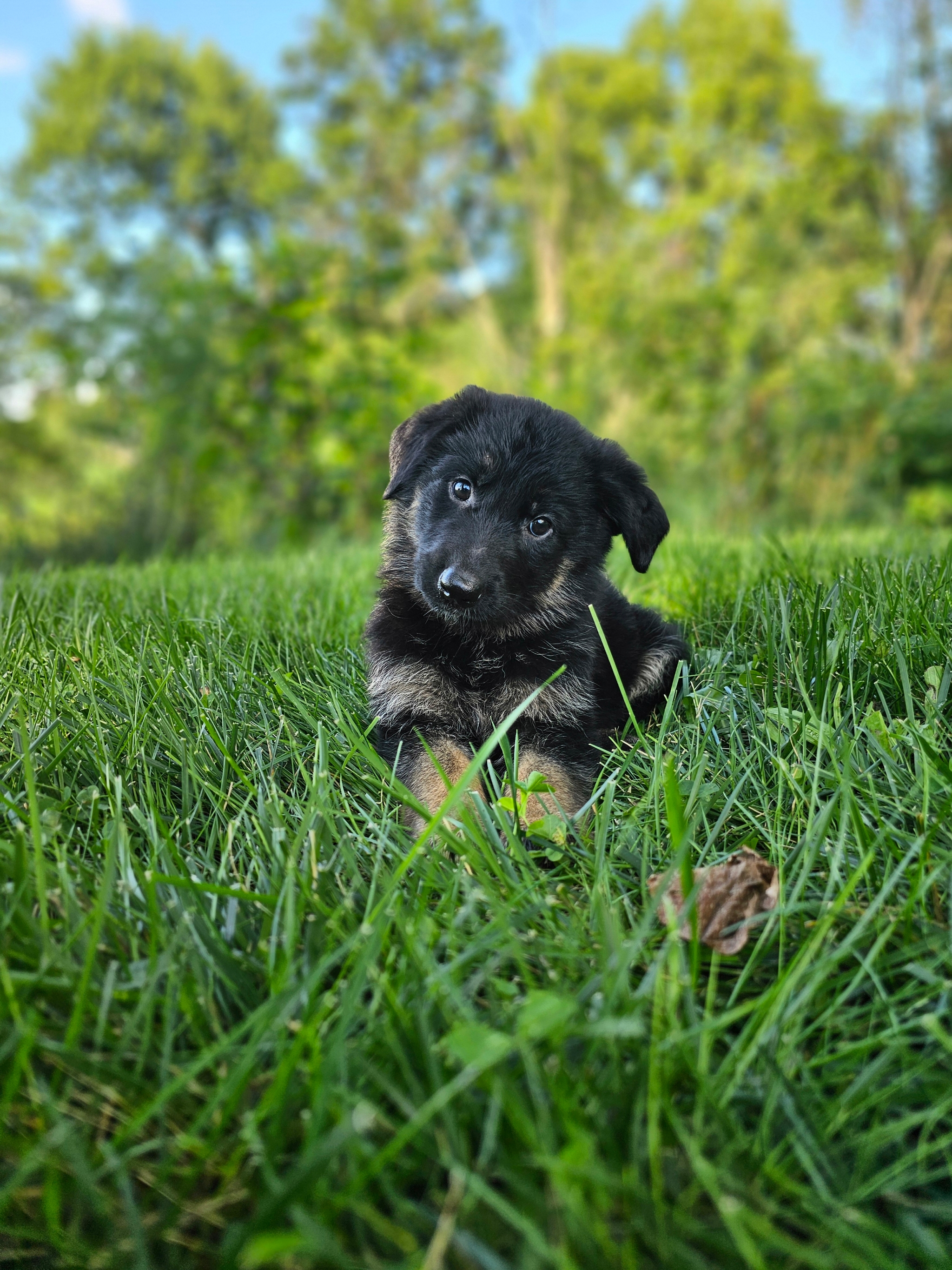 Jack