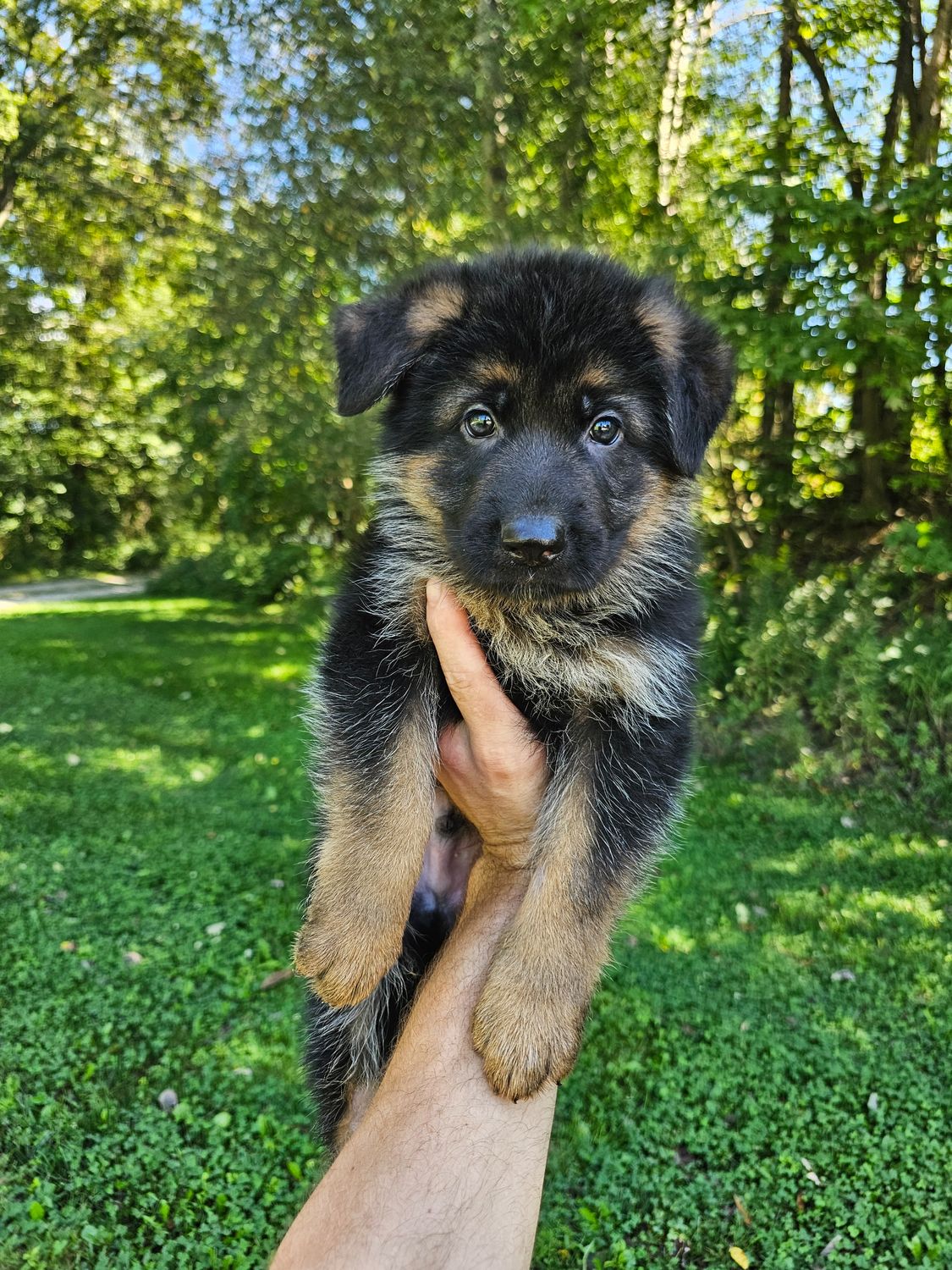 Sammy Sammy
