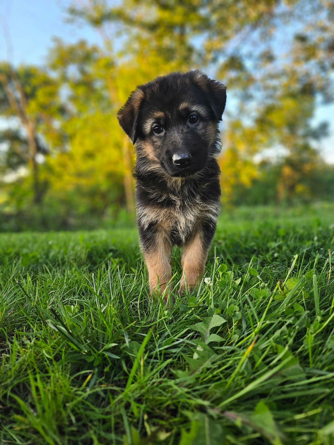 Abby
