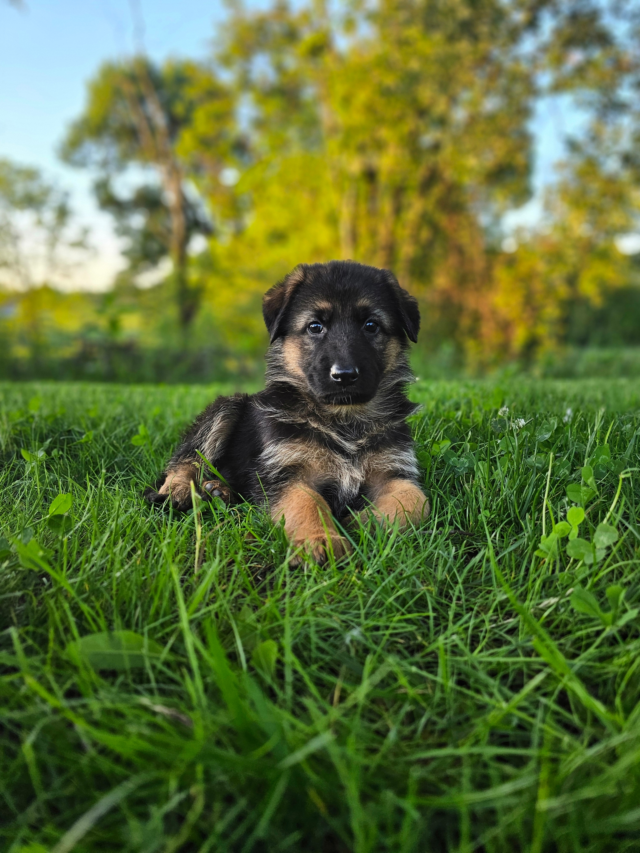 Abby