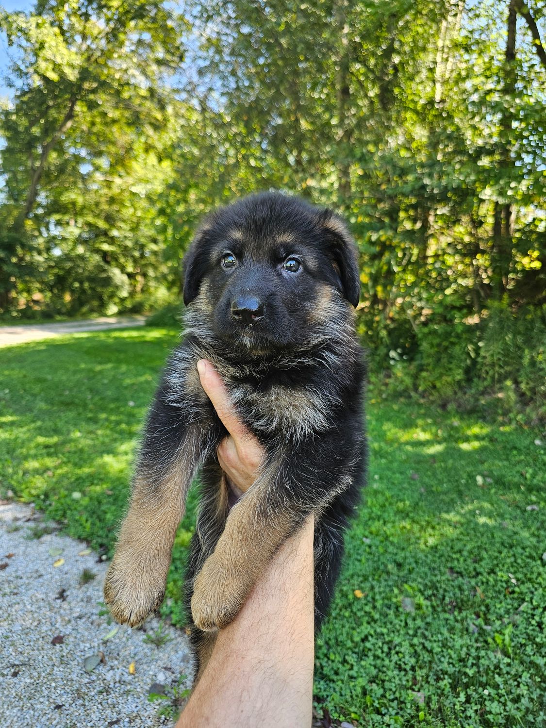 Cooper Cooper
