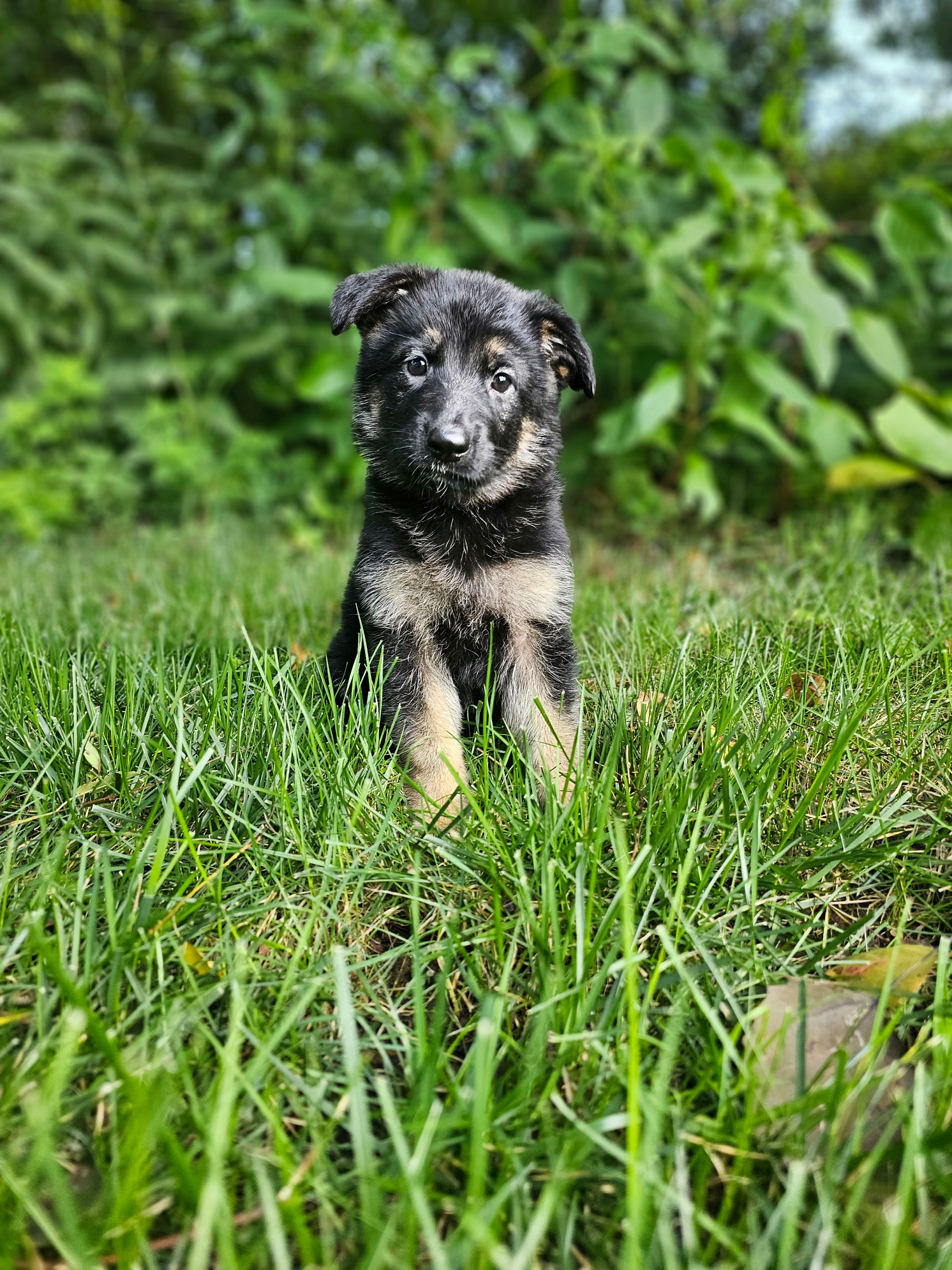 Abby