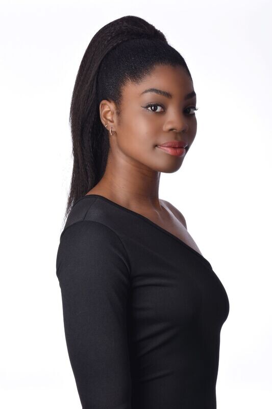 Sleek EZ Rebel Ponytail