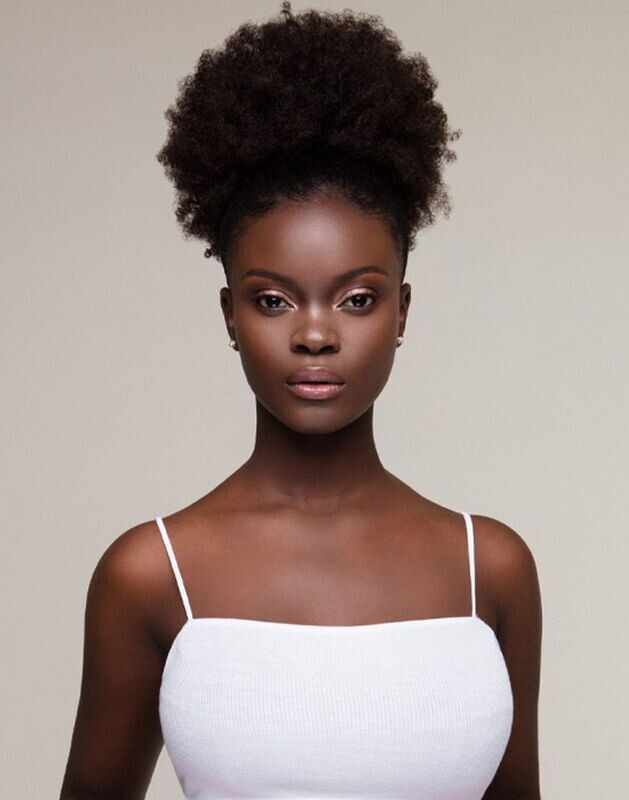 Feme Collection Human Hair Afro Puff - Large