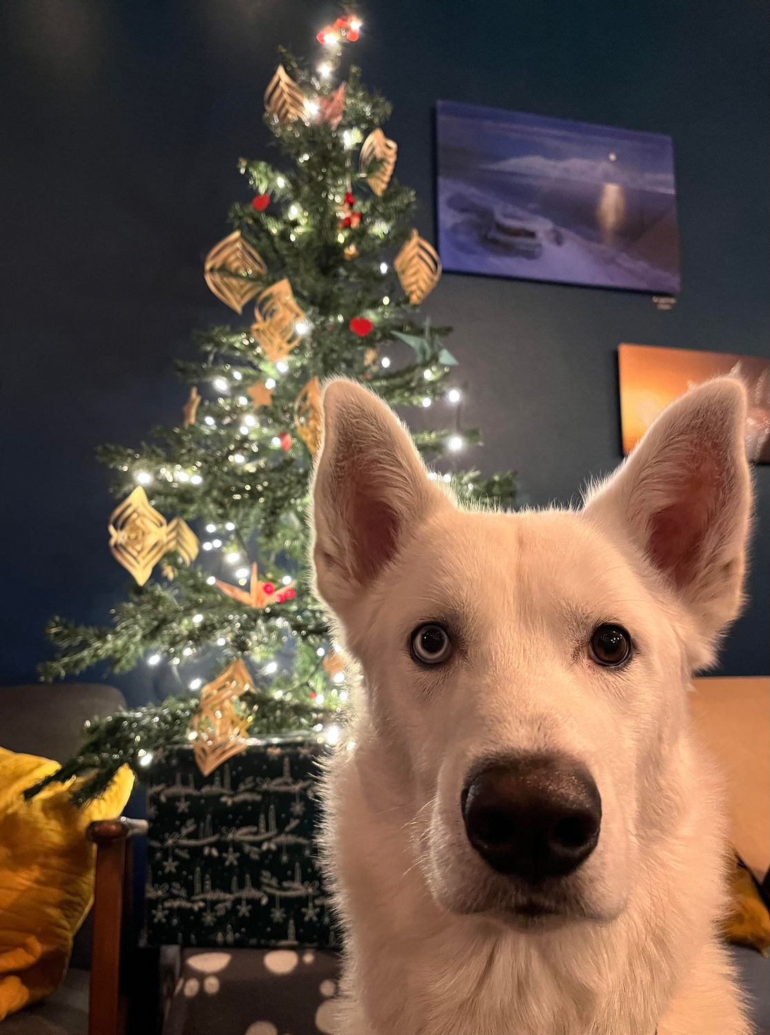 Christmas raffle ticket