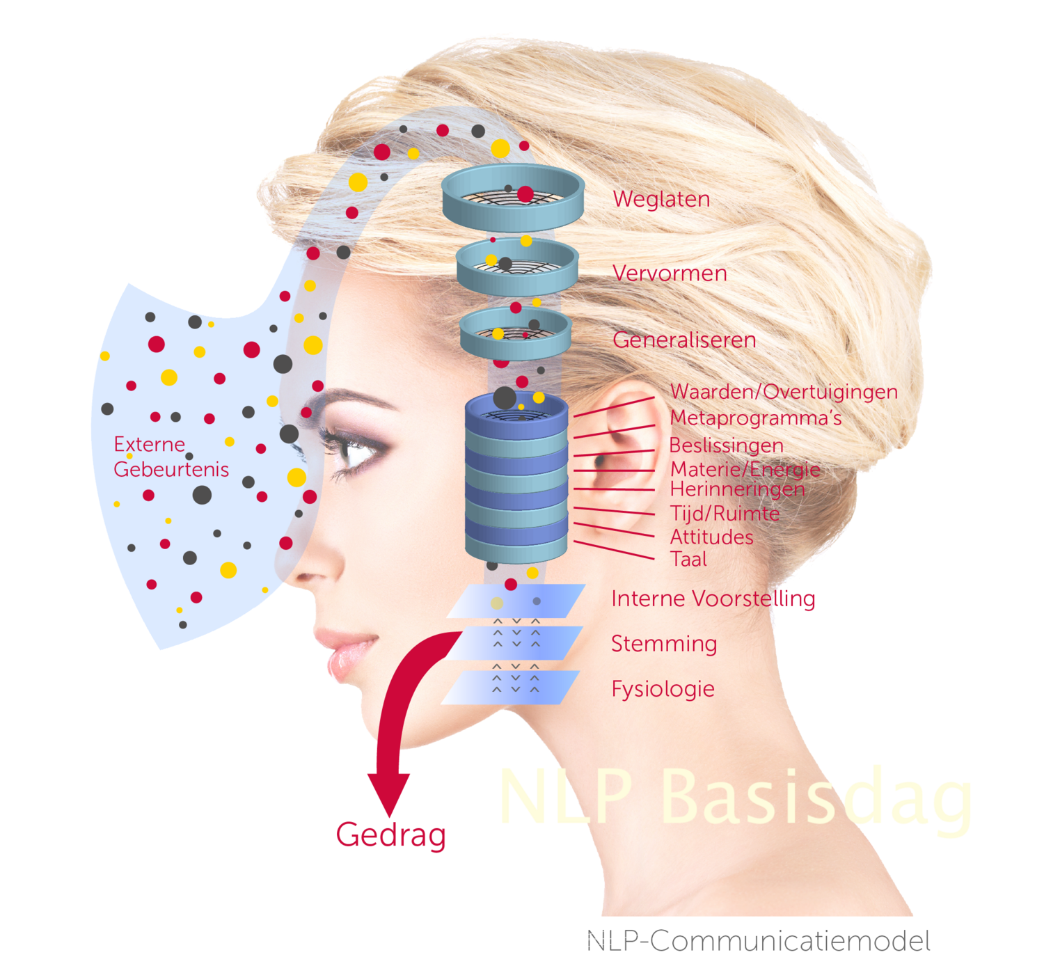 Basisdag Communicatie en Coachvaardigheden (NLP)