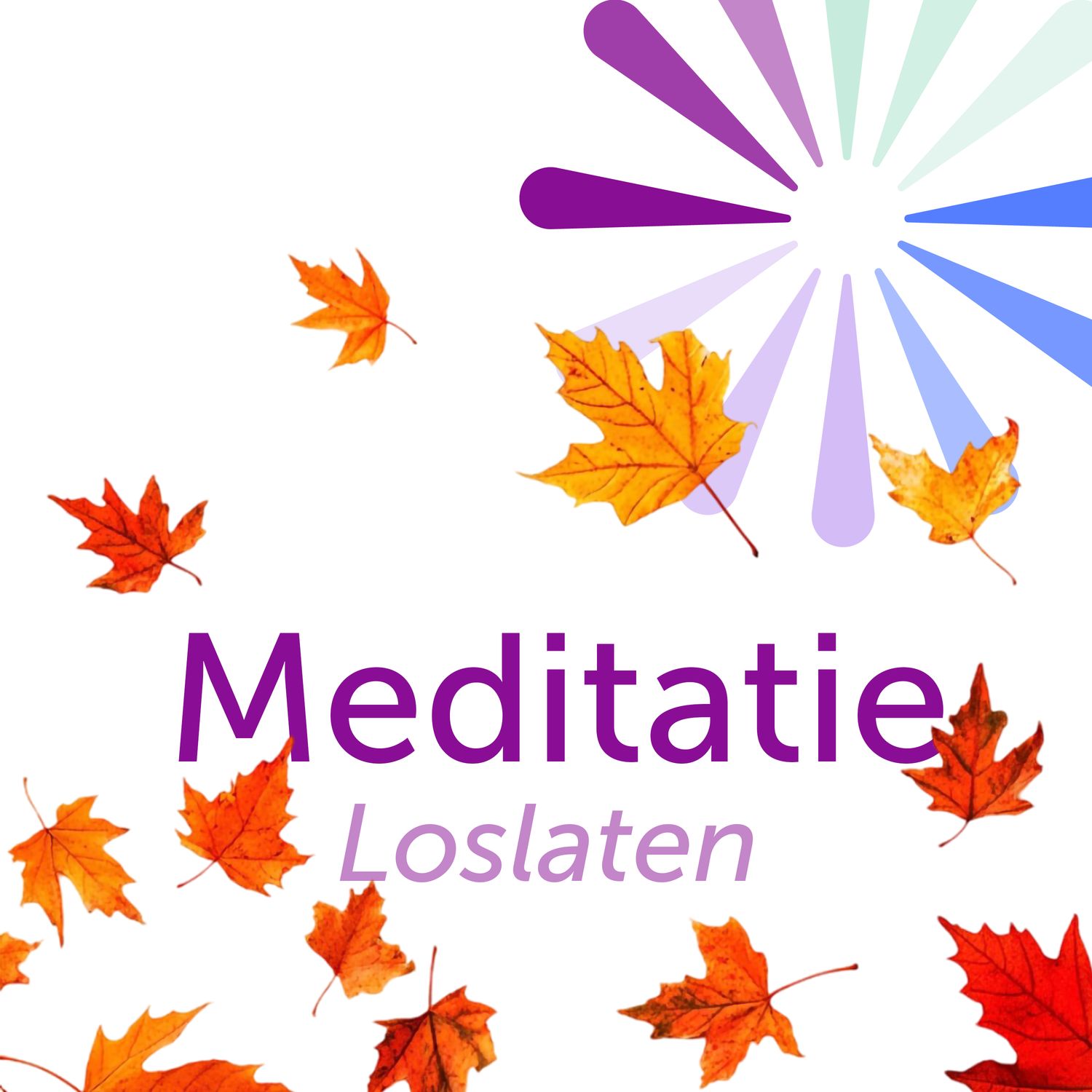 Jubileumcadeau - Meditatie "Loslaten"