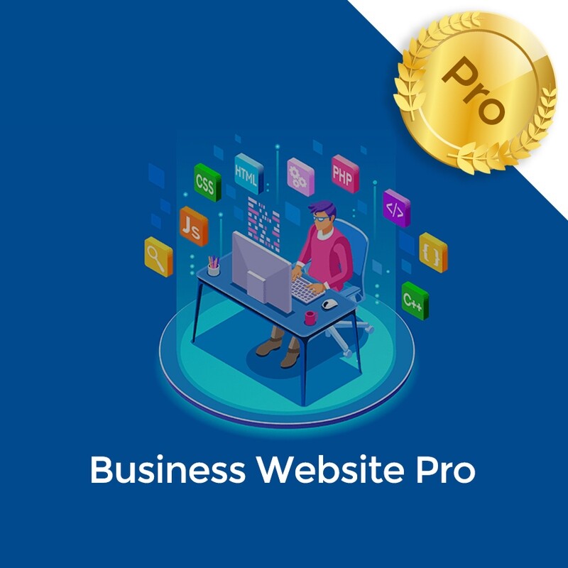 Pro Business Website
