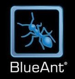 Buleant