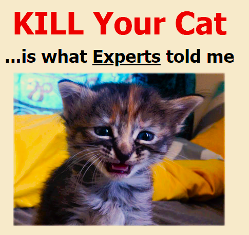 (Pet Care) No More Cat Spraying