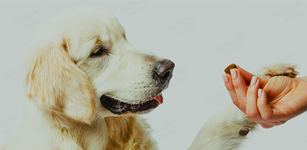 (Pet Care) Hemp Chewing Treats