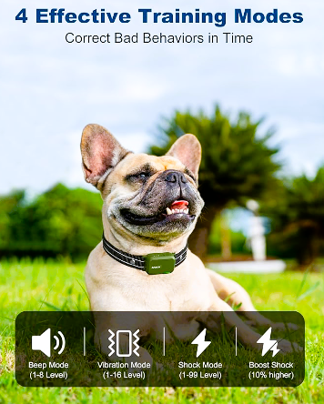 (Pet Care) Dog Training Collar