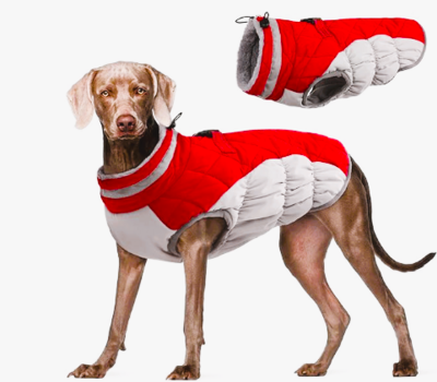 (Pet Care) Winter Coat for Dogs
