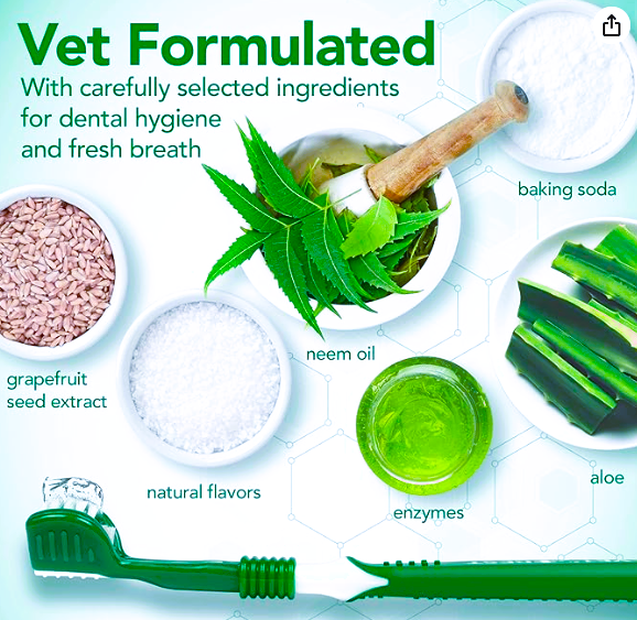 (Pet Care) Dog Teeth Cleaning