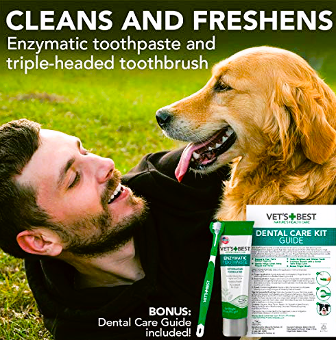 (Pet Care) Dog Teeth Cleaning