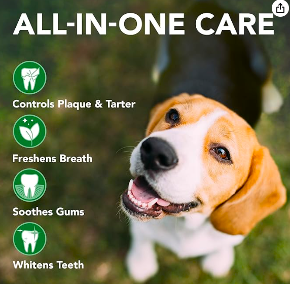 (Pet Care) Dog Teeth Cleaning