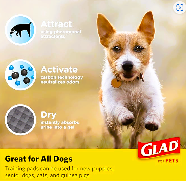 (Pet Care) Dog Training Pads