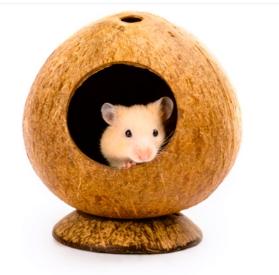 (Pet Care) Hamsters, Gerbils, Mice