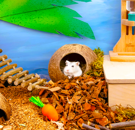 (Pet Care) Hamsters, Gerbils, Mice