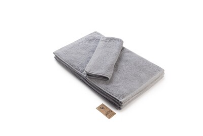 ARTG Towelzz® - AR034 - Gasten Handdoek - 30 x 50 cm - Light Grey