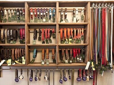Dog Collars &amp; Leads
