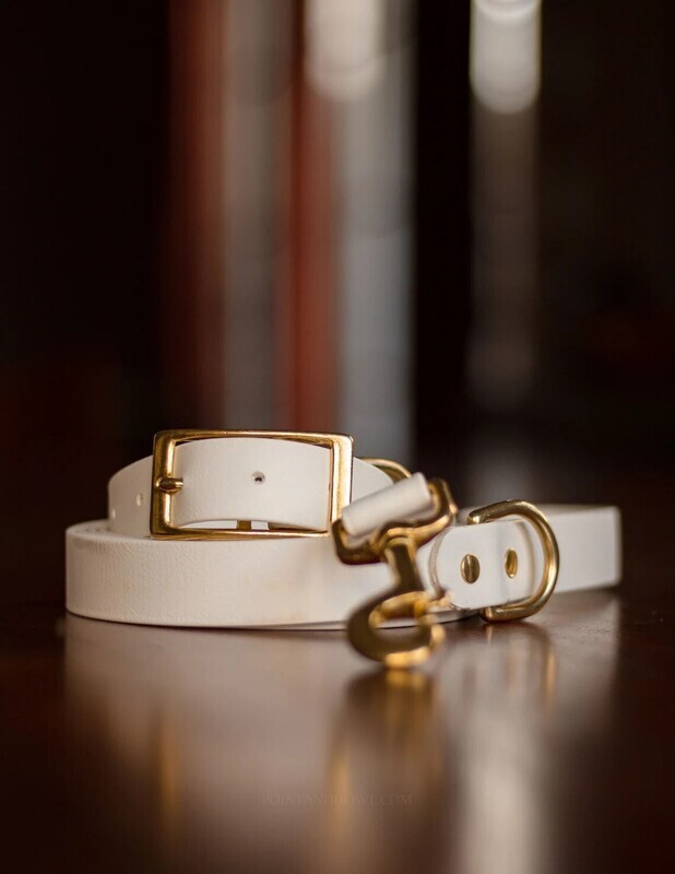 Personalized BioThane® Dog Collar &amp; Leash - Waterproof Dog Collar