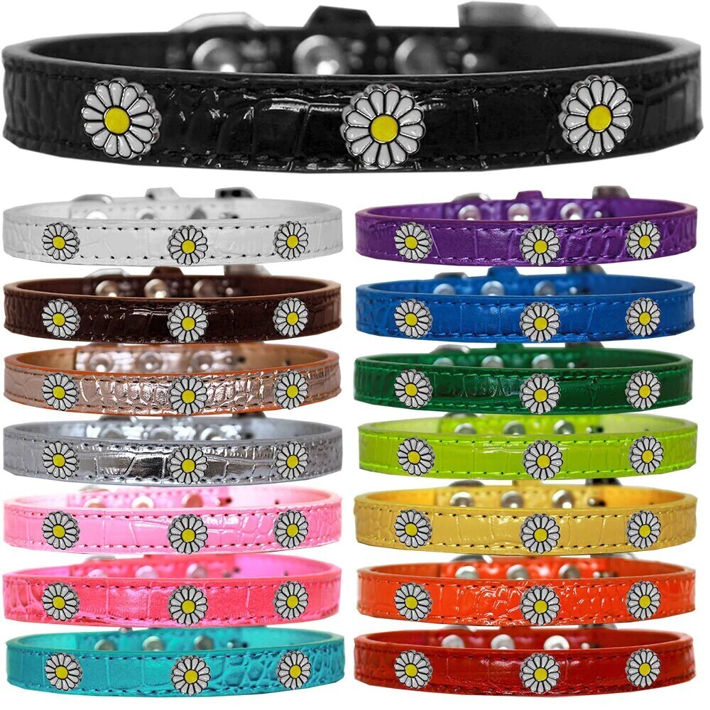 Mirage Dog, Puppy &amp; Pet Designer Croc Collar, &quot;White Daisy&quot;