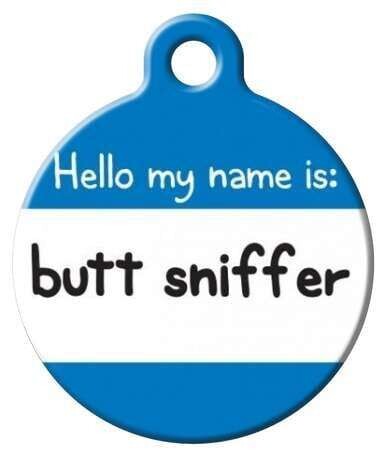 Hello My Name Is Butt Sniffer Pet ID Tag | Designer Dog Tag Art