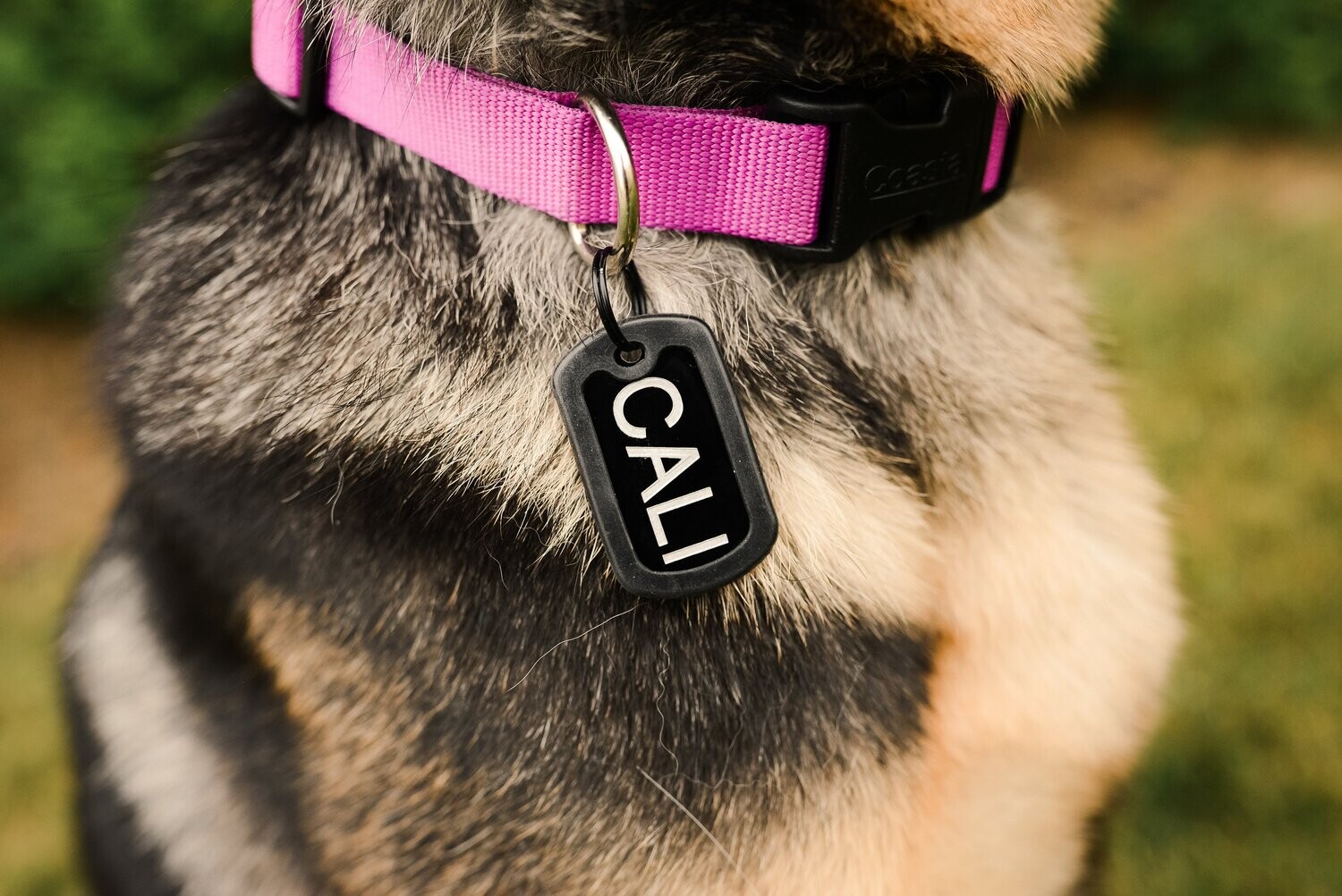 Made In USA GI Military Dog Tag Kit
