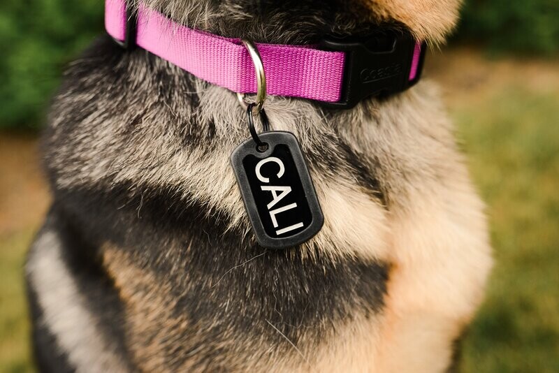 Made In USA GI Military Dog Tag Kit