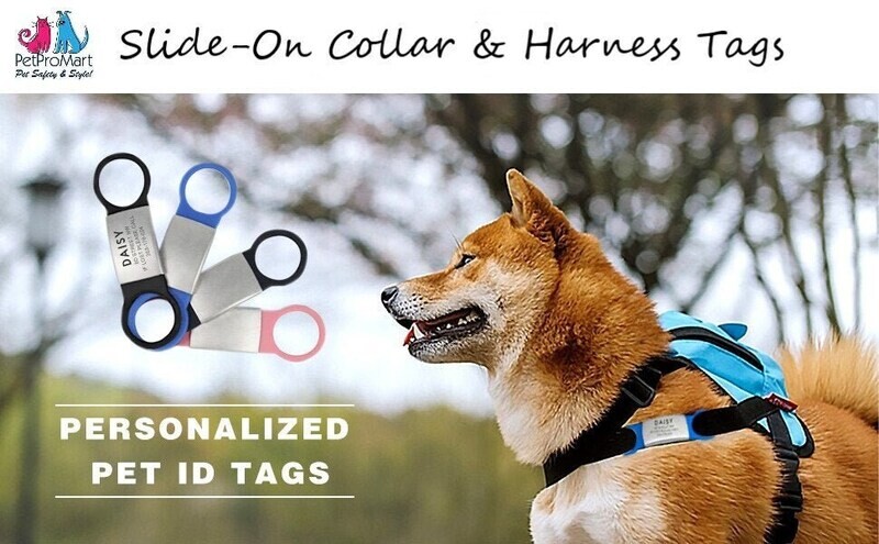 Stainless Steel Slide-On Collar Pet ID Tags - Personalized Dog Tags