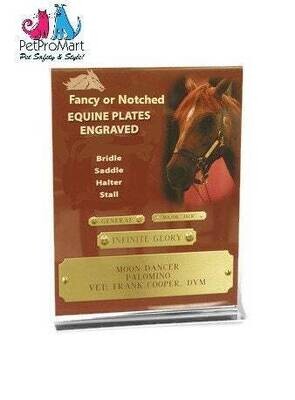Personalized Brass Equine Plates for Bridle, Saddle, Halter, and Stall