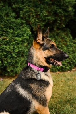 Made In USA GI Military Dog Tag Kit