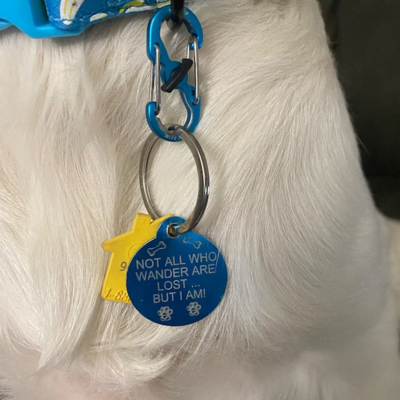Pet Tag Clips &amp; Accessories