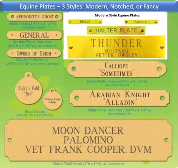 Personalized Brass Equine Plates for Bridle, Saddle, Halter, and Stall