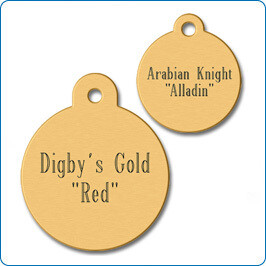 Equine Brass Bridle Circle Tag - Round Brass Pet ID Tag