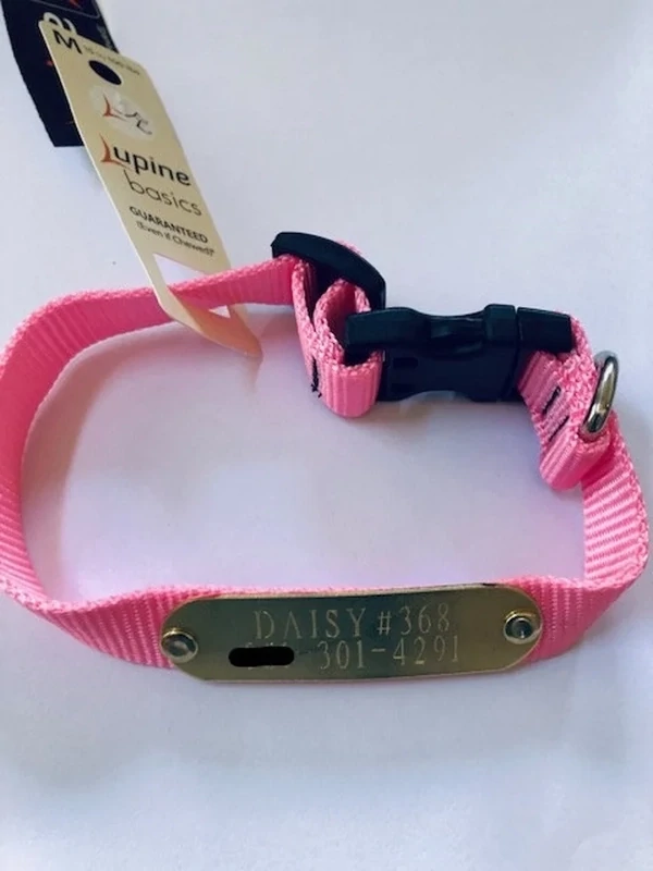Personalized Brushed Brass Rivet-On Tags - Collar Pet ID Tag