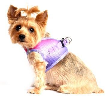 American River Choke Free Cat or Dog Harness &amp; Leash Ombre Collection - Raspberry Sundae