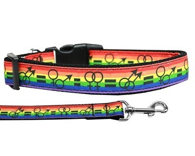 Dog &amp; Cat Nylon Collar and Leash, &quot;Equality&quot;