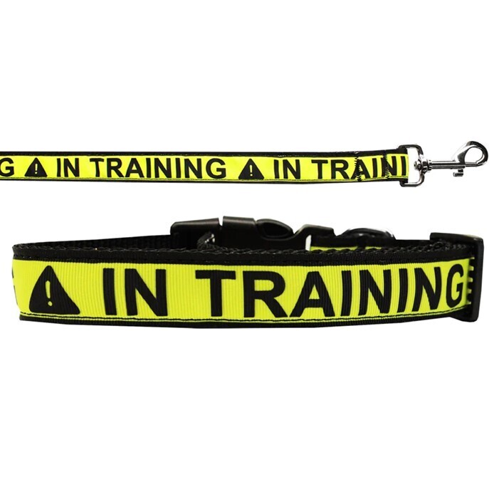Dog Nylon Collar and Leash, &quot;In Training&quot;