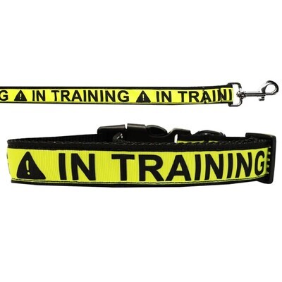 Dog Nylon Collar and Leash, &quot;In Training&quot;